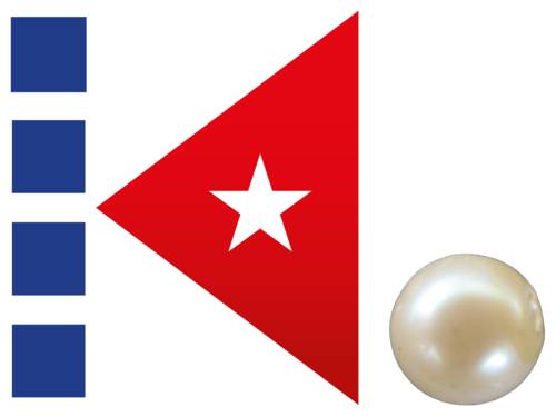 Das Koki-Logo mit vier blauen Quadraten links und einem roten Dreieck rechts. in dem Dreieck ein weißer fünfzackiger Stern. Rechts daneben eine Perle